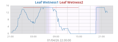 daywetleaf