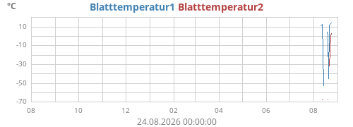 yeartempleaf